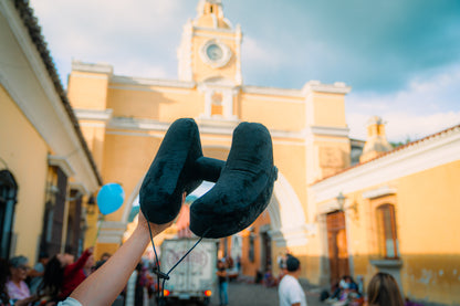 Roam Right Travel Pillow